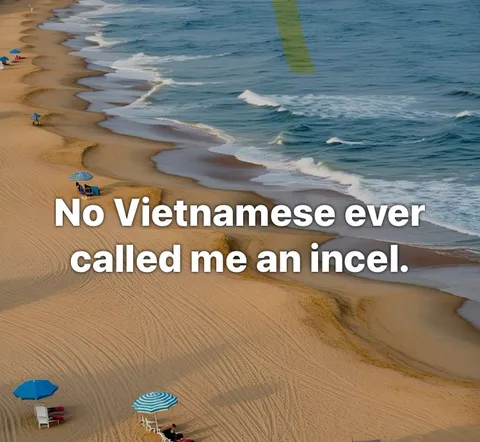 No Vietnamese Called Me Incel