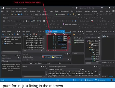Pure Focus Programming Meme