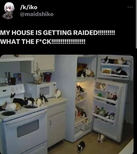 My House Is Getting Raided