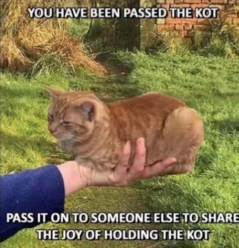 You Have Been Passed the Kot