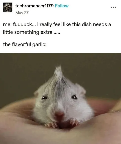The Flavorful Garlic