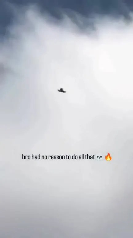 Bird Had No Reason To Do All That