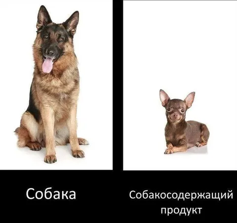 Собака и собакосодержащий продукт