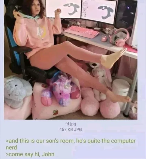 Computer Nerd Son's Room