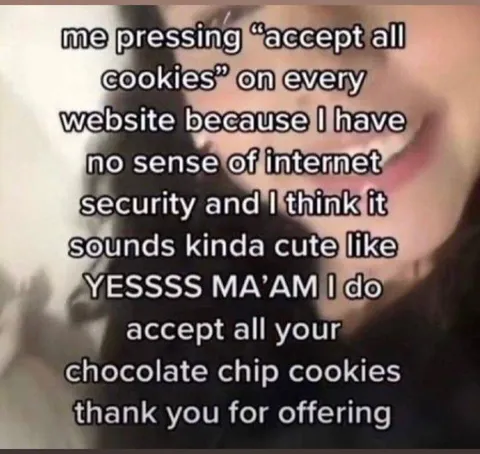 Accept All Chocolate Chip Cookies