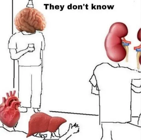They Don't Know About the Organs