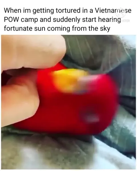 Fortunate Son From the Sky