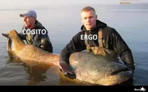 Cogito Ergo Sum
