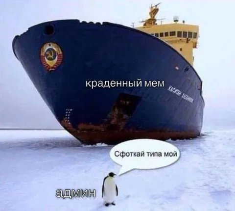 Пингвин просит сфоткать корабль