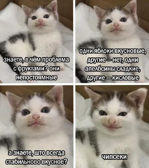 Кот про непостоянные фрукты