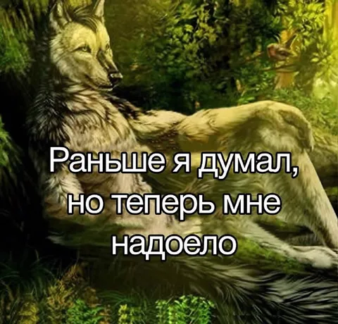 Раньше я думал, теперь надоело