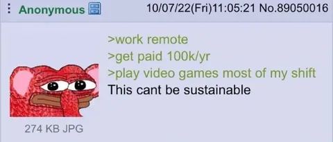 Remote Work Cannot Be Sustainable