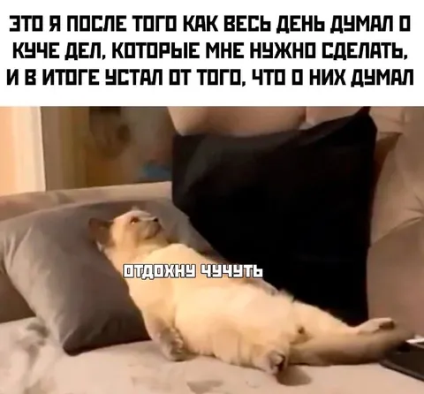 Когда весь день думал о делах