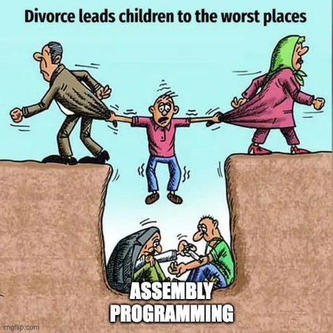 Divorce Leads to Assembly Programming