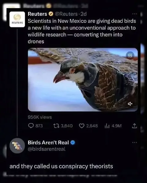 Birds Aren’t Real Reply