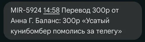 Усатый кунибомер помолись за телегу