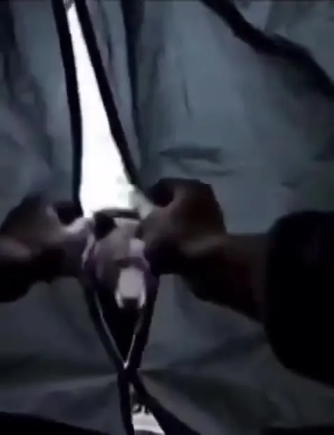 Медведь танцует у машины