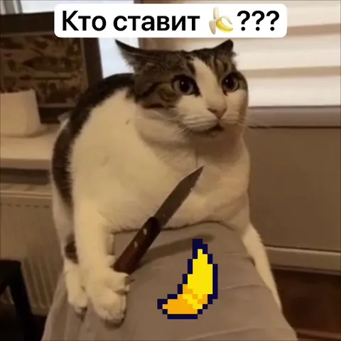 Кот с ножом и бананом