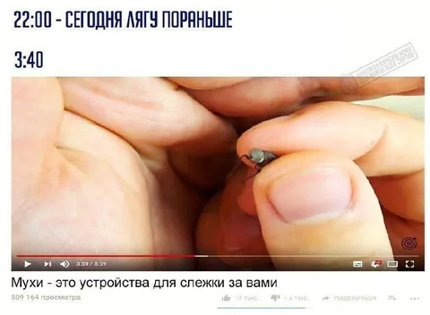 Сегодня лягу пораньше и мухи