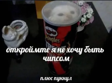 Я не хочу быть чипсом