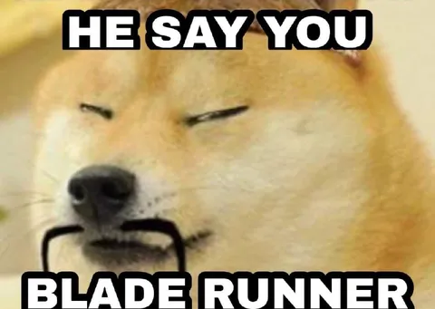 He Say You Blade Runner