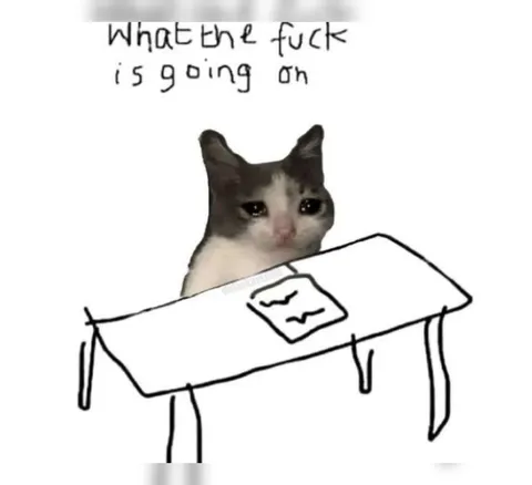 What the Fuck Is Going On Cat