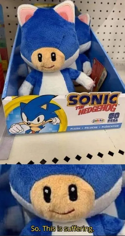 Sonic Plush Is Suffering