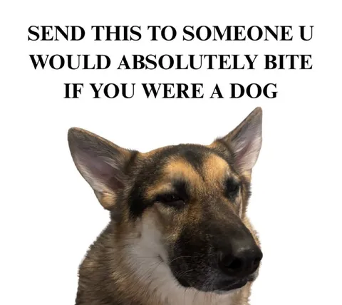 Send This to Someone You’d Bite