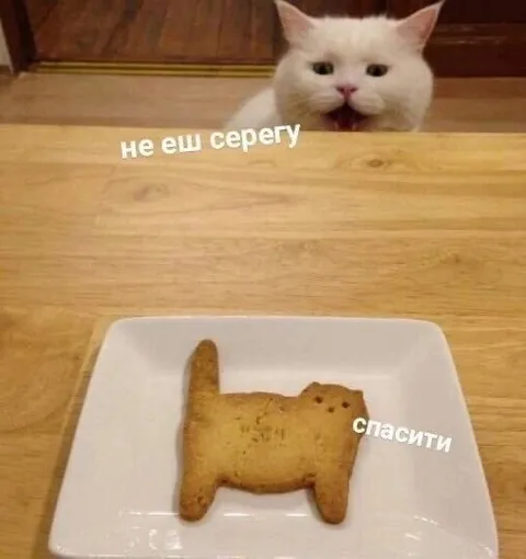 Не ешь Серёгу