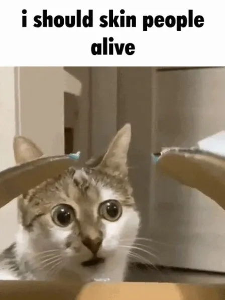 Cat Wants To Skin People