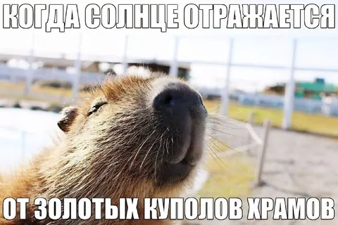 Солнце отражается от золотых куполов