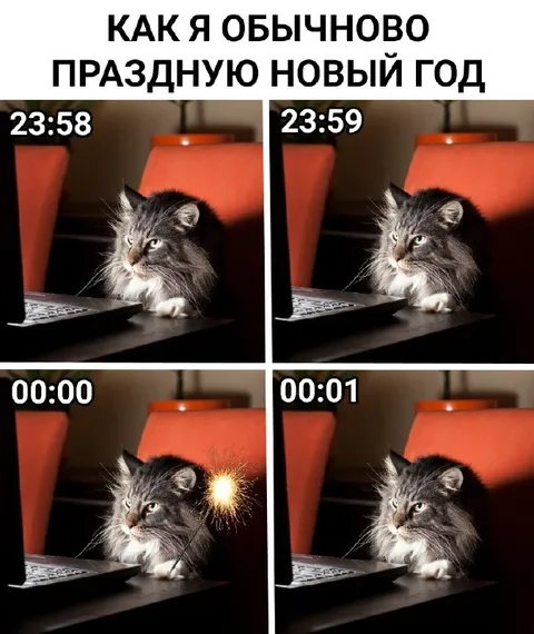 Кот празднует Новый год