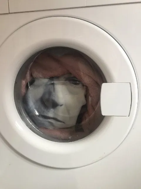 Кот в стиральной машине