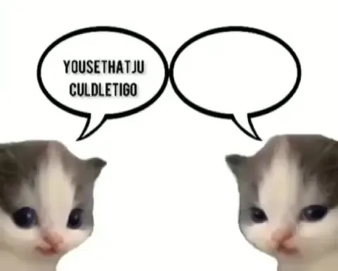 Cats Sing Somebody That I Used to Know