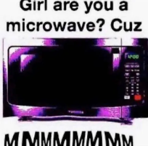 Girl Are You a Microwave