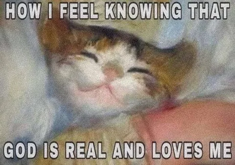 Cat Knows God Loves Me
