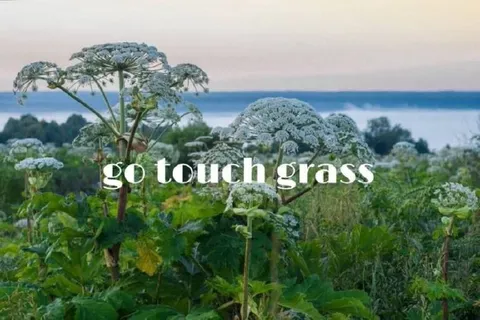 Go Touch Grass