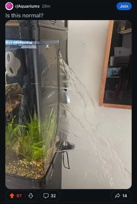 Aquarium Water Overflow