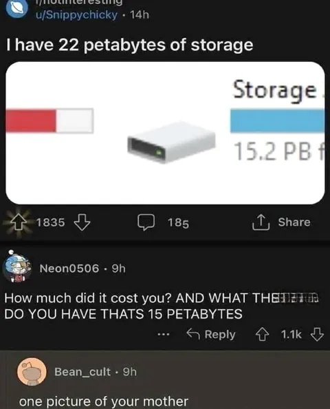 22 Petabytes of Storage