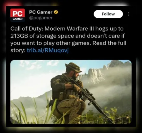 Call of Duty Takes 213GB