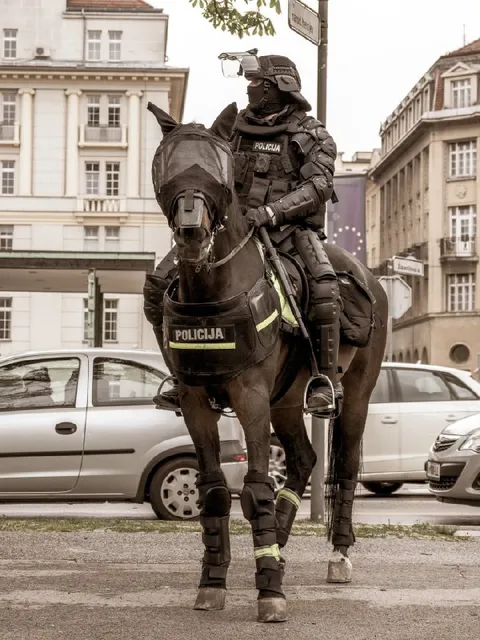 Policja na koniu