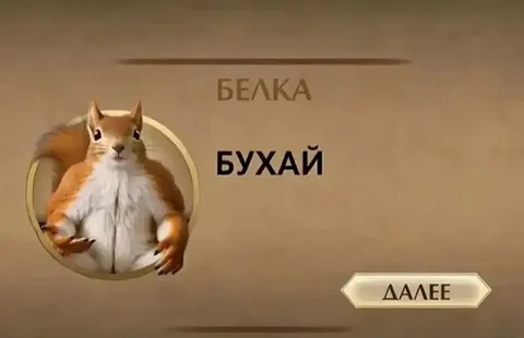 Белка: бухай, далее