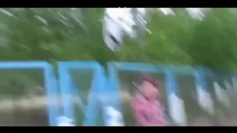 Неожиданный финал прогулки