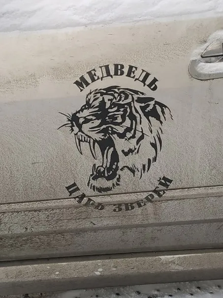 Медведь — царь зверей