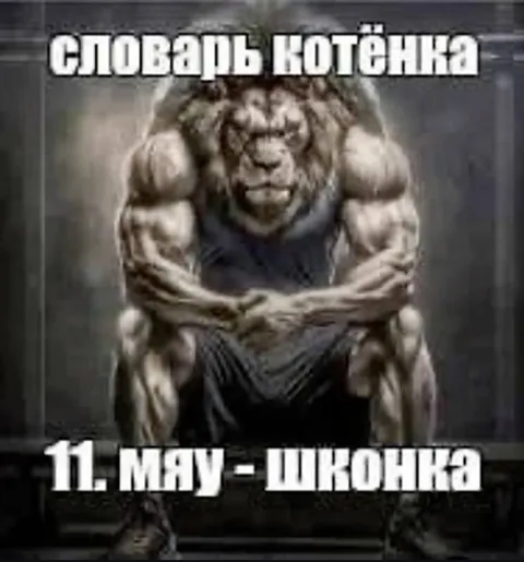 Словаць котёнка — 11 мая школа