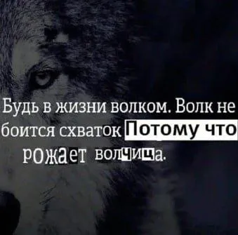 Будь в жизни волком