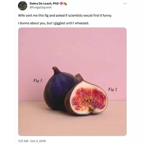Scientists Find Figs Funny