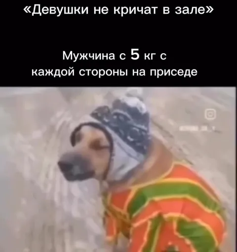 Мужчина с 5 кг на приседе