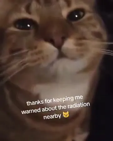 Cat Warned About Radiation Nearby