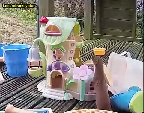 Лесные звери на детской площадке